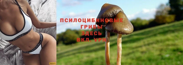 прущая мука Няндома