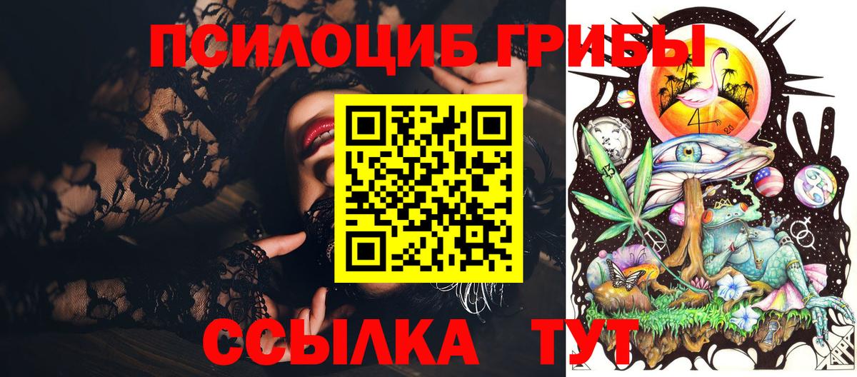 Котельники  Псилоцибиновые грибы Psilocybe  Галлюциногенные грибы Psilocybe  Вход с VPN 