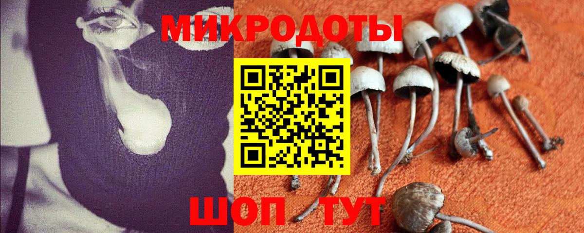 Псилоцибиновые грибы MAGIC MUSHROOMS  Котельники 